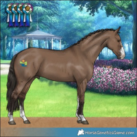 Horse Color:Liver Red Dun Sabino 