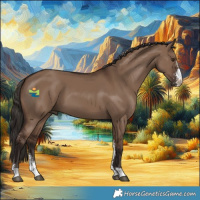 Horse Color:Liver Red Dun Sabino 