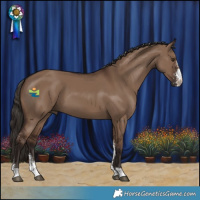 Horse Color:Liver Red Dun Sabino 