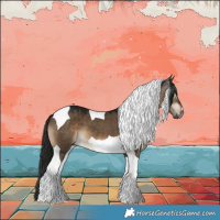 Horse Color:Gray Brown Dun Tobiano 