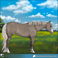 Horse Color:Silver Grullo Varnish 