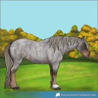 Horse Color:Liver Red Roan Mushroom 