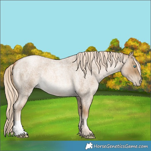 Horse Color:Chocolate Palomino Roan Pearl Mushroom 