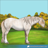 Horse Color:Chocolate Palomino Roan Pearl Mushroom