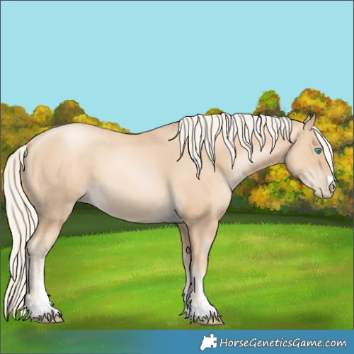 Horse Color:Gold Cream Champagne Pearl Mushroom 