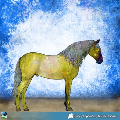 Horse Color:ERROR: UNKNOWN ANOMALY