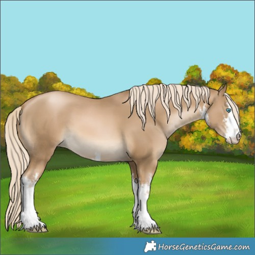 Horse Color:White Spotted Chocolate Palomino Pearl Mushroom 