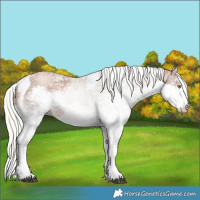 Horse Color:White Spotted Liver Chestnut Ice Pearl Mushroom Splash Tobiano 