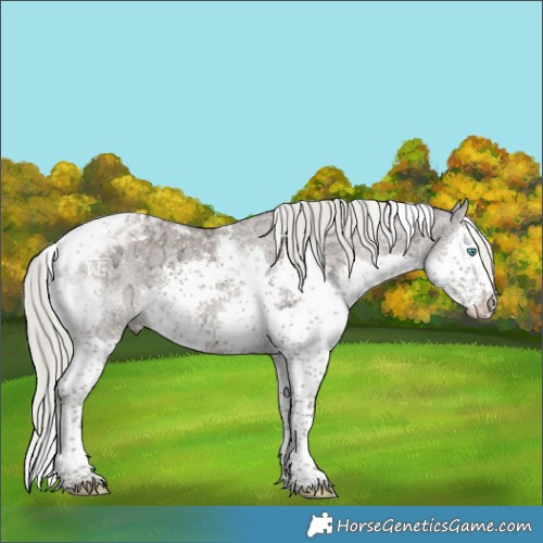 Horse Color:Liver Red Dun Ice Mushroom Splash Tobiano 