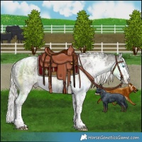Horse Color:Liver Red Dun Ice Mushroom Splash Tobiano 