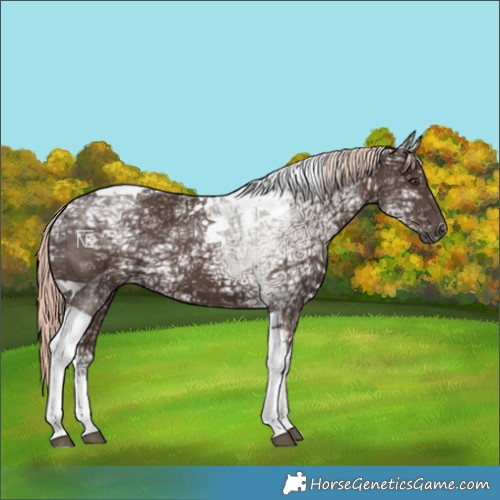Horse Color:Liver Chestnut Ice Mushroom Tobiano
