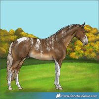 Horse Color:Powder White Chocolate Palomino Mushroom Tobiano