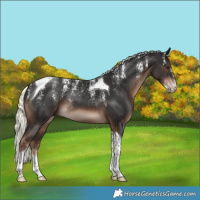 Horse Color:Powder White Liver Chestnut Mushroom Tobiano 