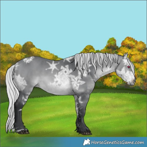 Horse Color:Silver Brown Chinchilla Ice