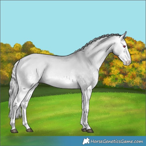 Horse Color:White Spotted Silver Buckskin Chinchilla Dun