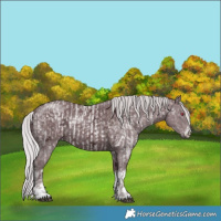 Horse Color:White Spotted Chocolate Silver Blue Chinchilla Ice Roan  and White Spotted Chocolate Silver Black Chinchilla Ice 