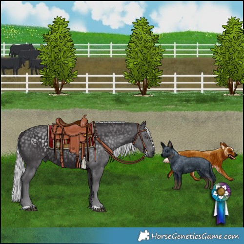 Horse Color:Silver Smoky Black Chinchilla 