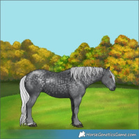 Horse Color:Silver Black Chinchilla 