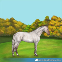 Horse Color:Chocolate Silver Brown Ice Roan Dun Tobiano 