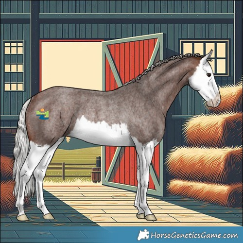 Horse Color:Silver Brown Roan Splash Rabicano 