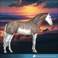 Horse Color:Silver Brown Roan Splash Rabicano 