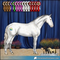 Horse Color:Buckskin Dun Blanket