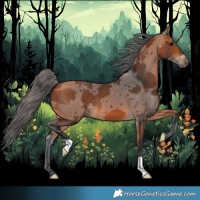 Horse Color:Bay Merle 