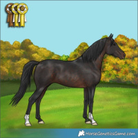 Horse Color:Brown 