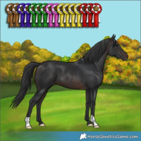 Horse Color:Brown 