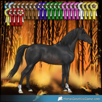 Horse Color:Brown 