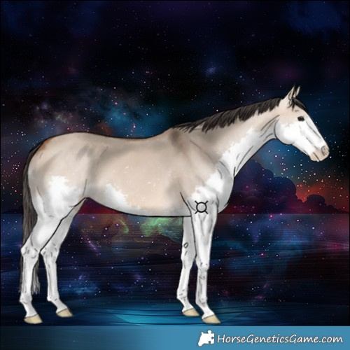 Horse Color:Bay Dun Splash 