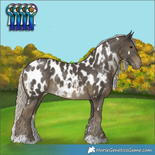 Horse Color:White Spotted Silver Smoky Black Blanket 