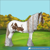 Horse Color:White Spotted Chocolate Palomino Tobiano 