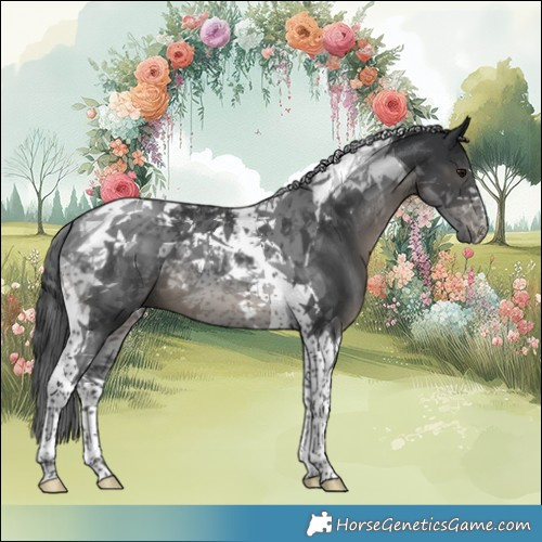 Horse Color:Black Tobiano 