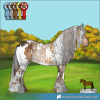Horse Color:White Spotted Chocolate Palomino Dun Brindle and White Spotted Liver Chestnut Rabicano