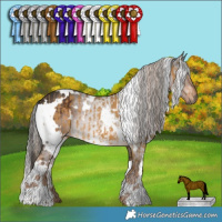Horse Color:White Spotted Chocolate Palomino Dun Brindle  and White Spotted Liver Chestnut Rabicano 