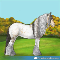 Horse Color:White Spotted Perlino Dun Tobiano Appaloosa Brindle and White Spotted Buckskin Dun Tobiano Appaloosa