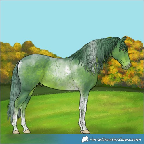 Horse Color:Watercolor Liver Chestnut Tobiano Rabicano 