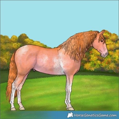 Horse Color:Watercolor Liver Chestnut Tobiano Rabicano