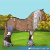 Horse Color:White Spotted Liver Red Dun Tobiano  and White Spotted Liver Red Dun Tobiano 