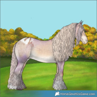 Horse Color:Chocolate Palomino Dun Varnish 
