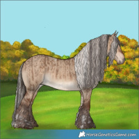Horse Color:Liver Red Dun Tobiano  and Silver Bay Dun 