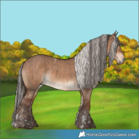 Horse Color:Liver Red Dun Tobiano  and Silver Bay Dun 