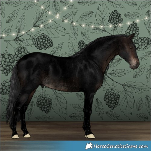 Horse Color:Void Brown Roan Tobiano 