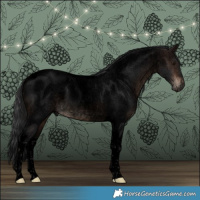 Horse Color:Void Brown Roan Tobiano 