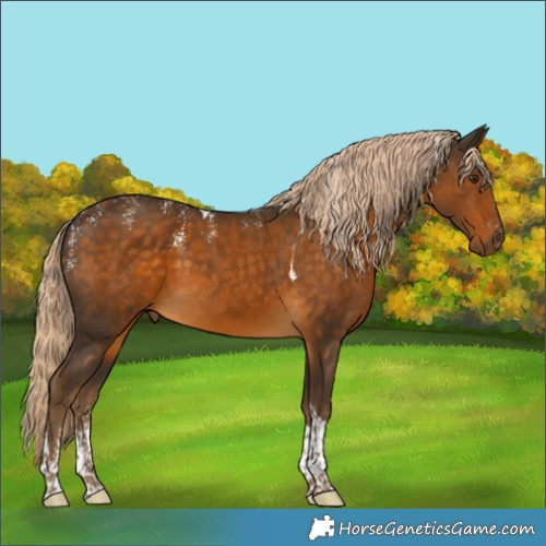 Horse Color:Powder White Chocolate Palomino Tobiano Rabicano 