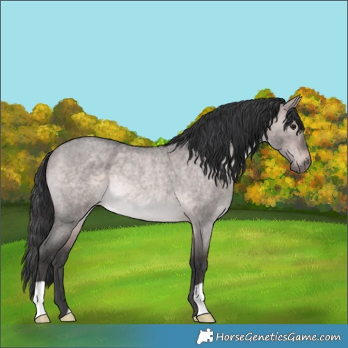 Horse Color:Platinum Bay Roan Dun Rabicano 