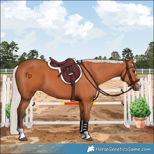 Horse Color:Silver Bay 