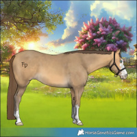 Horse Color:Amber Cream Champagne 