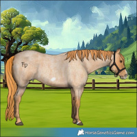 Horse Color:Red Roan Frame